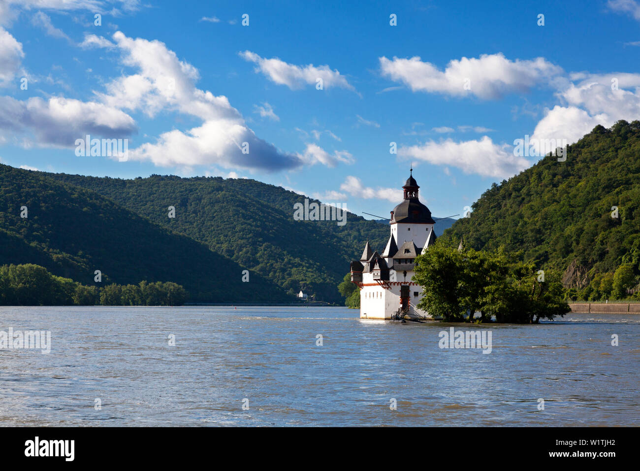 Il castello Pfalzgrafenstein, vicino Kaub, Reno, Renania-Palatinato, Germania Foto Stock