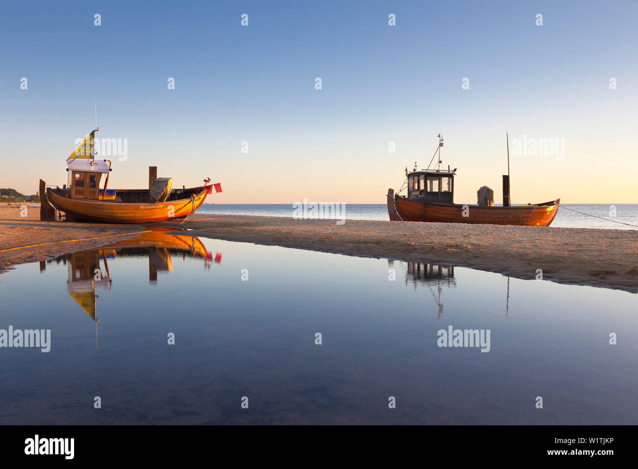 Fresa di pesce sulla spiaggia, Ahlbeck, Usedom, Mar Baltico, Meclemburgo-Pomerania Occidentale, Germania Foto Stock