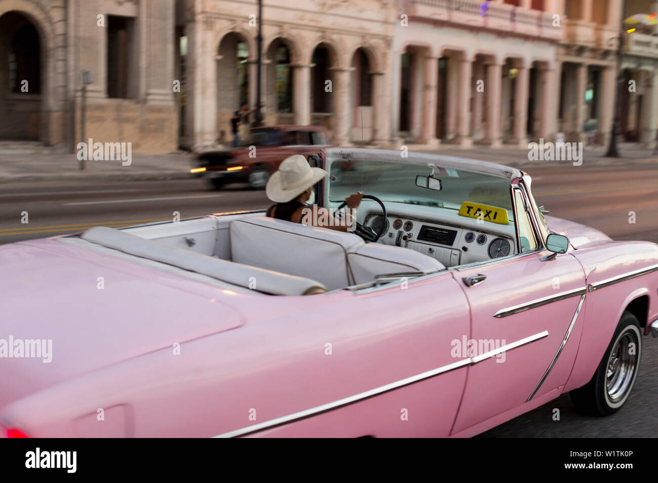 Oldtimer rosa, cabriolet, guidando lungo il Malecon, taxi, centro storico, centro città vecchia Habana Vieja, Centro Habana, famiglia viaggi a Cuba, vacanze, t Foto Stock