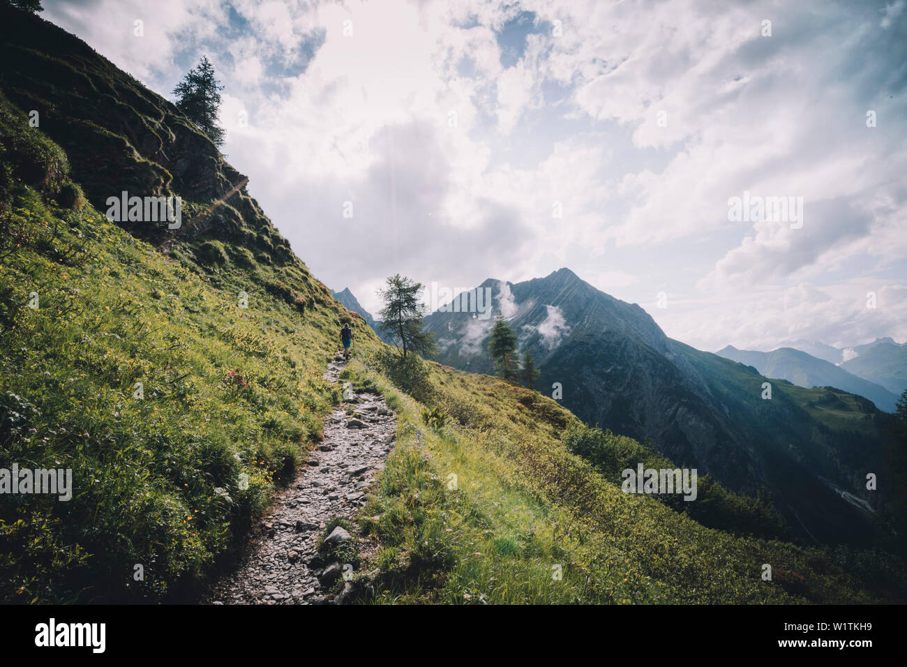 Escursionista direzione Memminger Hütte, E5, Alpenüberquerung, seconda fase, Lechtal, Kemptner Hütte a Memminger Hütte, Tirolo, Austria, Alpi Foto Stock