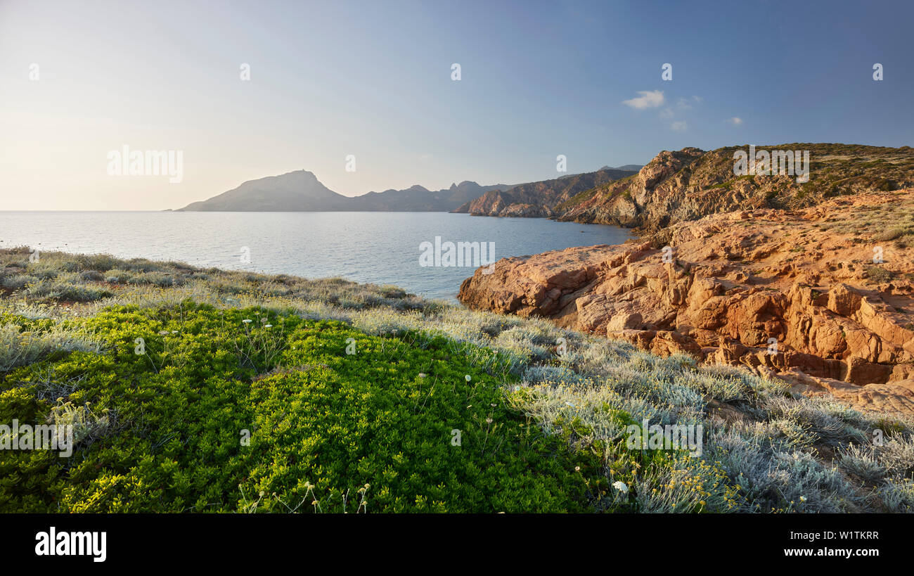 Atmosfera serale a Capu rossu, d'Arone, Corsica, Francia Foto Stock