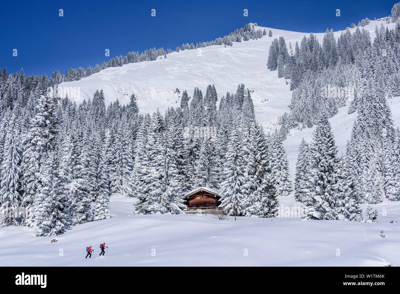 Due persone sci backcountry salendo verso Wildalpjoch, Wildalpjoch, Alpi Bavaresi, Alta Baviera, Baviera, Germania Foto Stock