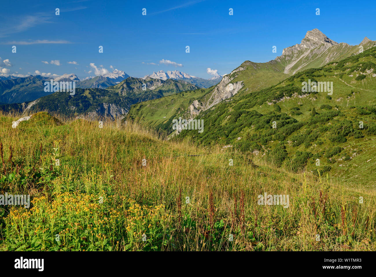 Viste sulle Alpi della Lechtal e testa di Roggel, Freiburg, Lech Lodge, fonte lechweg montagne, Vorarlberg, Austria Foto Stock