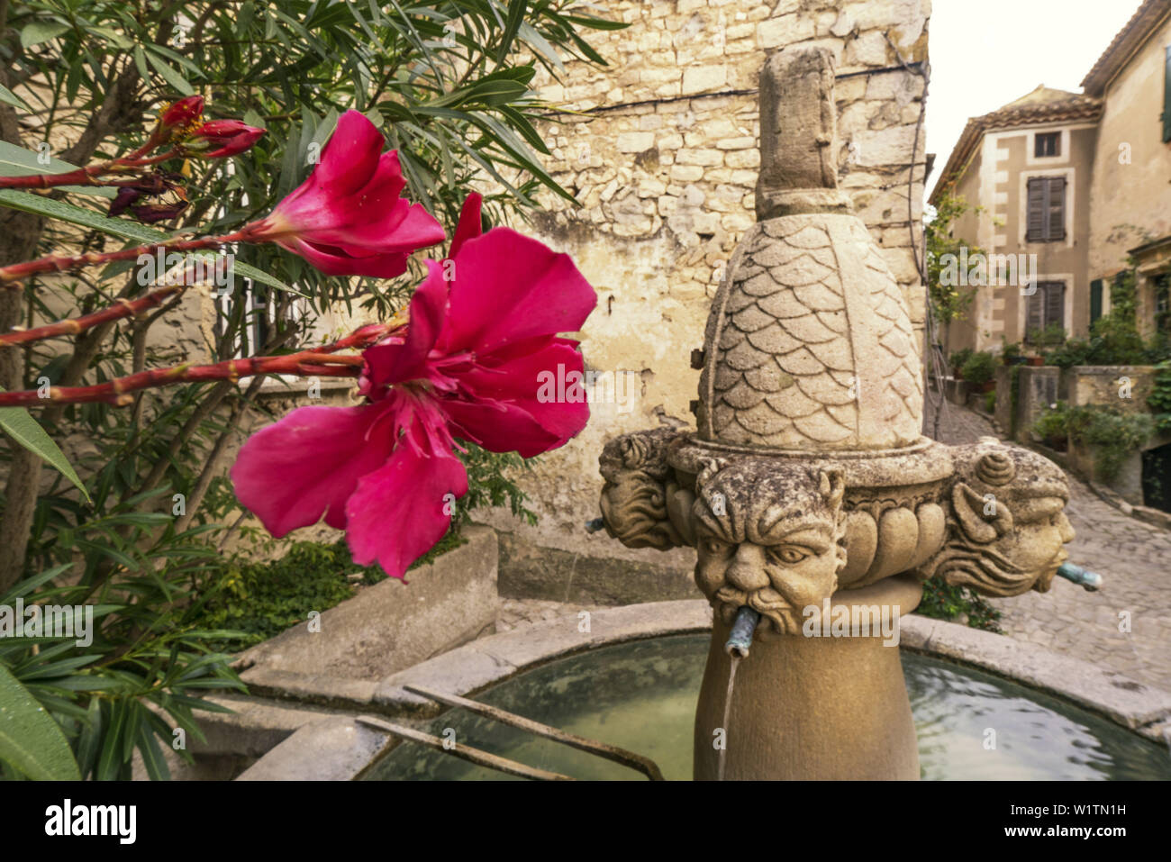 La Fontaine des mascheroni ecc..., fontana di pietra nel villaggio storico di Séguret, xv secolo, Vaucluse Provence, Francia Foto Stock