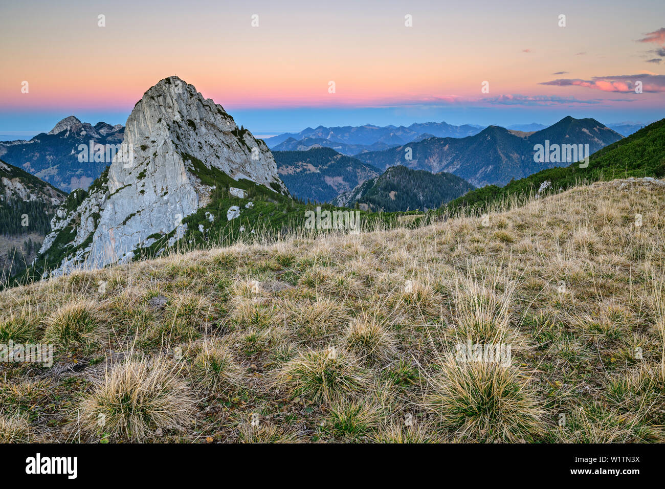 Ruchenkoepfe con Wendelstein e terra di ombra in background, Ruchenkoepfe, area di Spitzing, montagne Mangfall, Alpi Bavaresi, Alta Baviera, Baviera Foto Stock