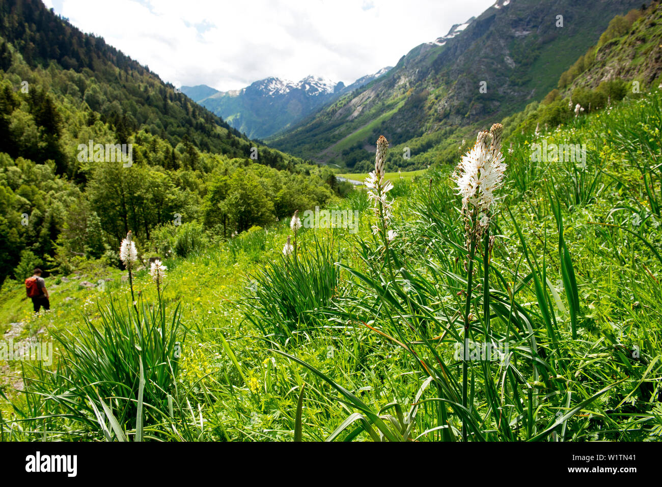 Escursionismo nella Valle de Varrados Foto Stock