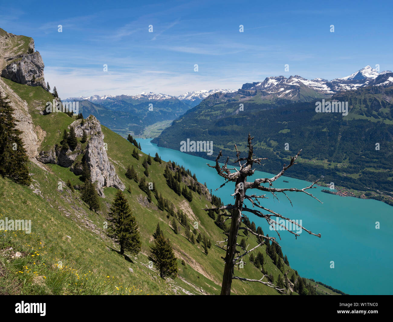 Vista da Augstmatthorn oltre il lago Brienzer vedere, Alpi Oberland Bernese, Svizzera, Europa Foto Stock