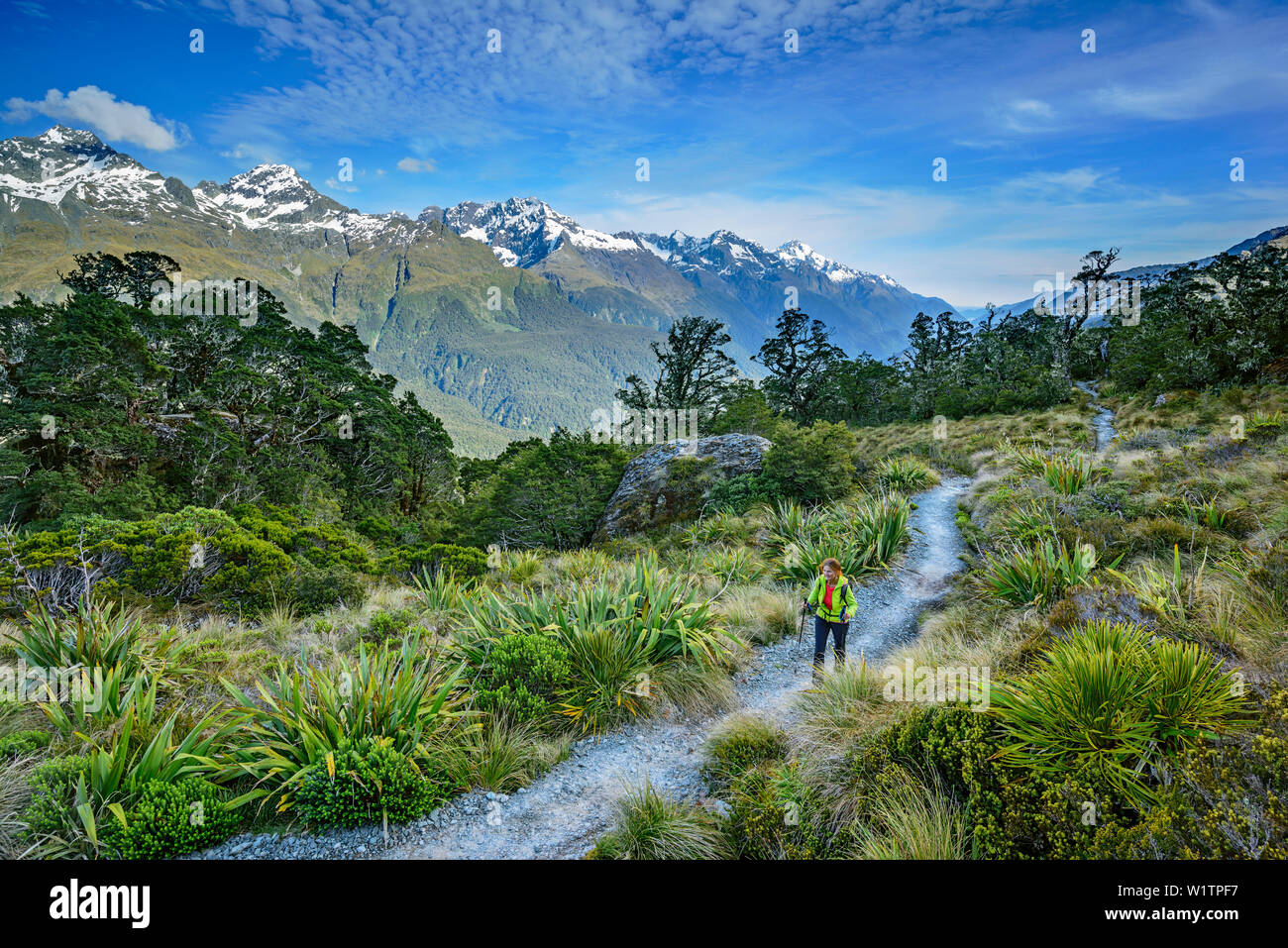 Donna escursionismo su Routeburn via con il Sud delle Alpi in background, Routeburn Track, grande passeggiate, Parco Nazionale di Fiordland, UNESCO Welterbe Te Wahipounam Foto Stock