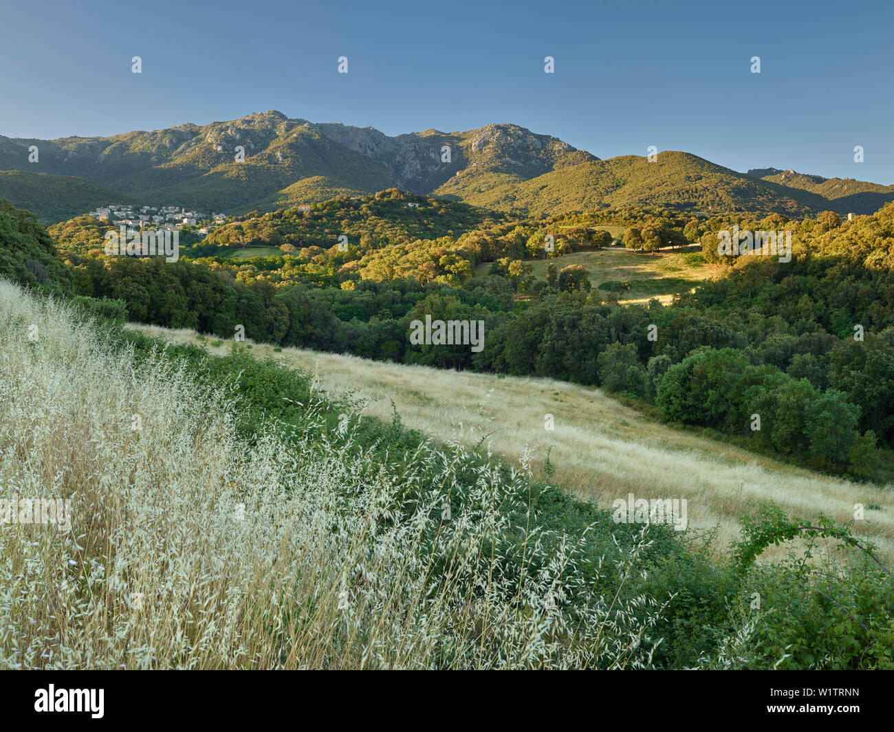 Petreto-Bicchisano, Corse du Sud, Corsica, Francia Foto Stock