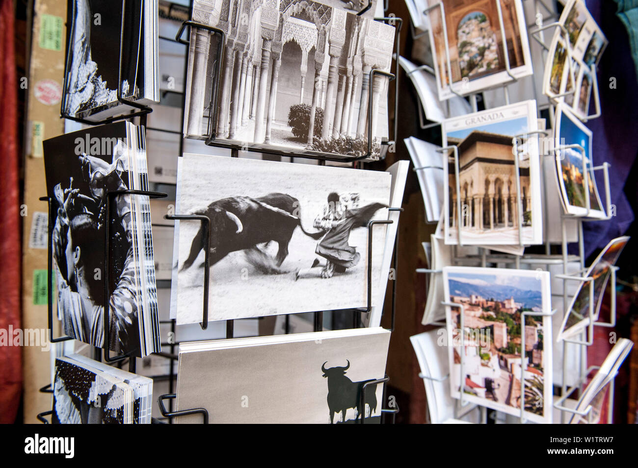 Cartolina di un toro di lotta, Granada, Andalusia, Spagna, Europa Foto Stock