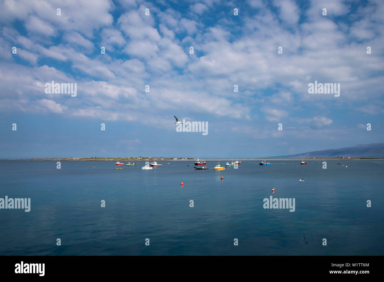 Baia di Fahamore con piccole colorate barche dei pescatori e dei punti di vista della penisola di Dingle visto da mentre si cammina per la strada di Dingle, Fahamore Harbour, Candeehy Foto Stock