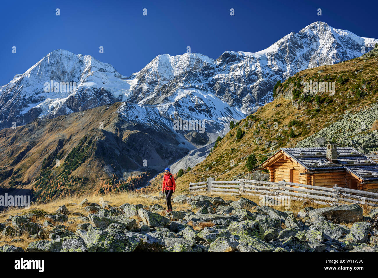 Donna con escursioni capanna alpina con Koenigsspitze, Zebrù e Ortles in background, Solda, Gruppo Ortles, Alto Adige, Italia Foto Stock