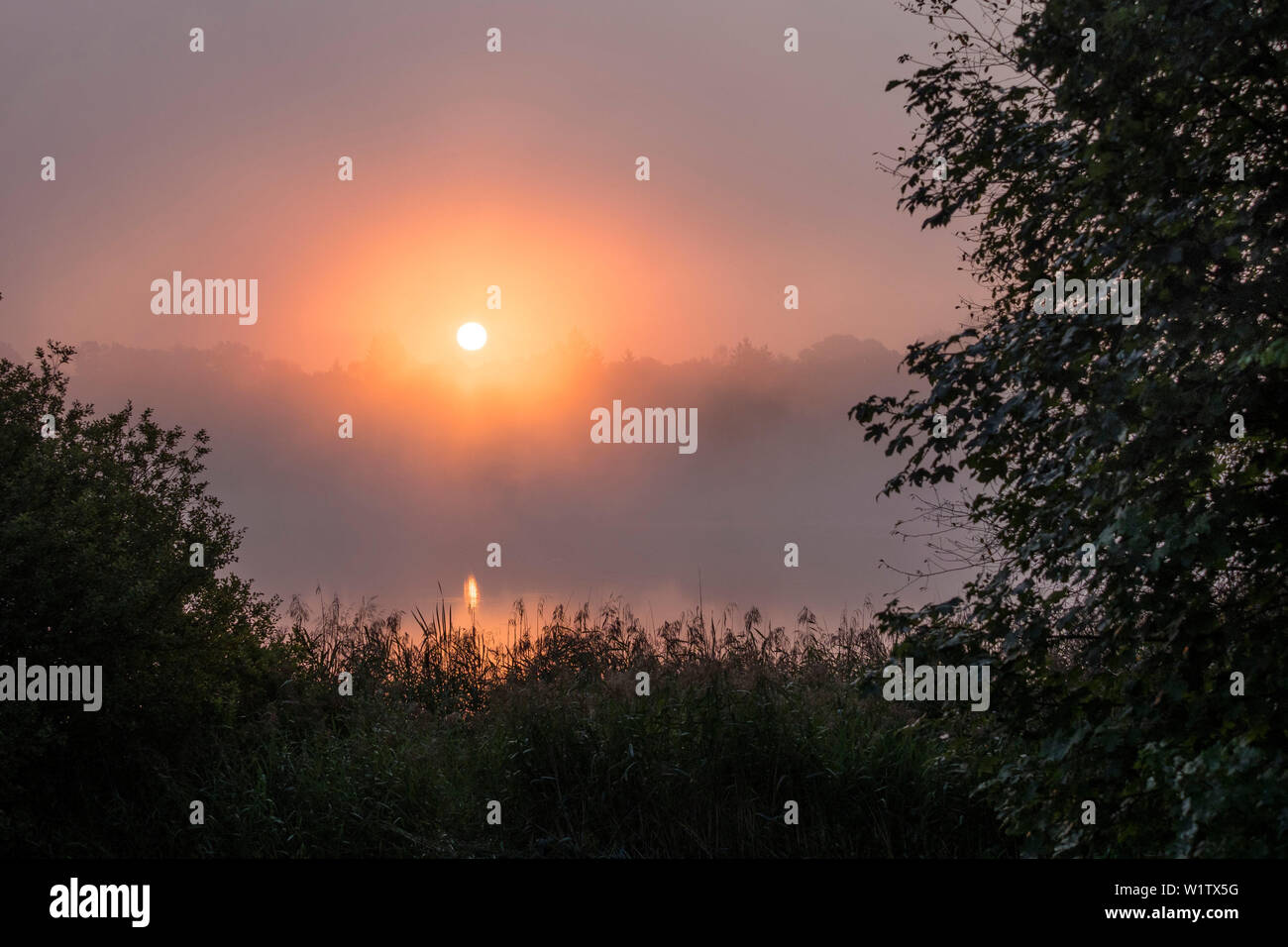 Alba sul laghetto, Alta Baviera, Germania, Europa Foto Stock