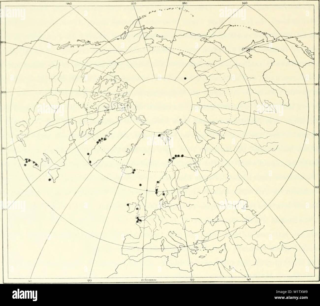 Immagine di archivio da pagina 525 danese Ingolf-spedizione (1899-1953). Il danese Ingolf-expedition danishingolfex2bpt6a7daniuoft Anno: 1899-1953 140 ASaoiACEA Isluiul. J' Mcil 4. vor dcr Ostkiistc, 60 in (ncuo Aunabe); Kiistenbaiik vor Ostislaiul. ().('58' N. I2°.o' W., 133 III ("Tlu)r"); KusUu- bauk vor Sudostislaiul. 64''i7'N. I"'W.. 75111 (+5.09° C. UI 74 m) (Bjerkaii ho()05). Wcstfinniarkcn; Andciiacs, Vi-stcranlcn (Hiiitfcldt-Kaos mi89(&GT;); Tromso, 18 36111 (Sars 1851. HarliMcyor 1903); Tromso Suiul, 20-50 111 (Hjcrkan 1908); Rystriim bci Tromso. 20 50111 (Bjerkaii 1908); Ilainiiurfi Foto Stock