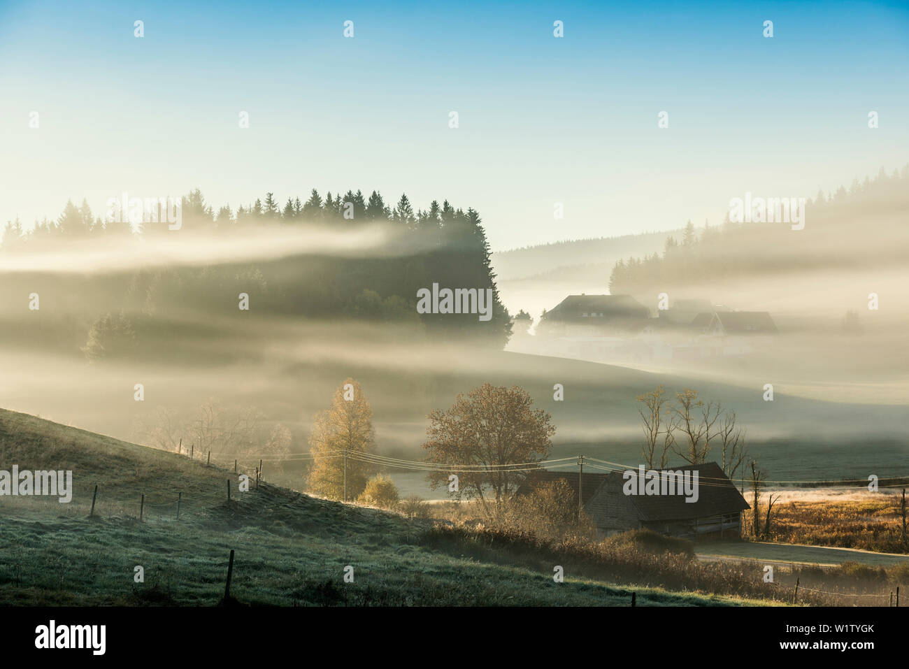 Il paesaggio e la nebbia autunnale, Jostal, Neustadt, Foresta Nera, Baden-Württemberg, Germania Foto Stock