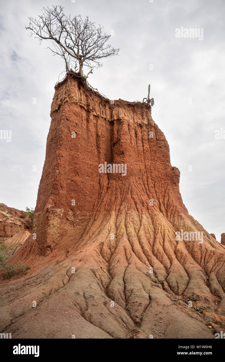 Paesaggio surreale a Tatacoa desert (Desierto de la Tatacoa), township Villavieja vicino a Neiva, Departmento Huila, Colombia, Southamerica Foto Stock