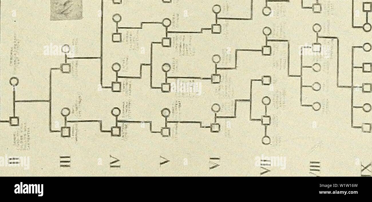 Immagine di archivio da pagina 544 di un decennio di progresso in. Un decennio di progressi nell'eugenetica; documenti scientifici del terzo congresso internazionale di eugenetica, tenutosi presso il Museo Americano di Storia Naturale di New York, Agosto 21-23, 1932 ... Comitato di pubblicazione, Harry F. Perkins, presidente ... Harry H. Laughlin, segretario decadeofprogress00inte Anno: 1934 Z o u o -i 1 < 2 <&LT; OQ < S-- L5; u PA W M S P t rS 5 s < H-1 Foto Stock