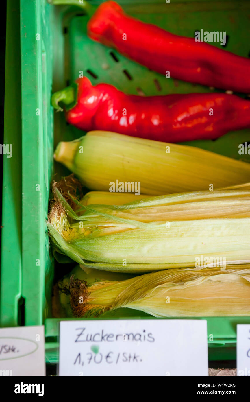Sulla pannocchia di mais, peperoni essendo venduti nel negozio della fattoria, agricoltore, organico, agricoltura, allevamento, Baviera, Germania, Europa Foto Stock