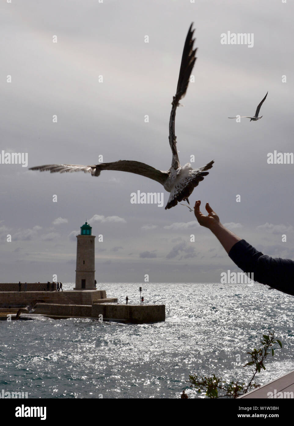Presso il porto di Cassis, Provenza, Francia Foto Stock