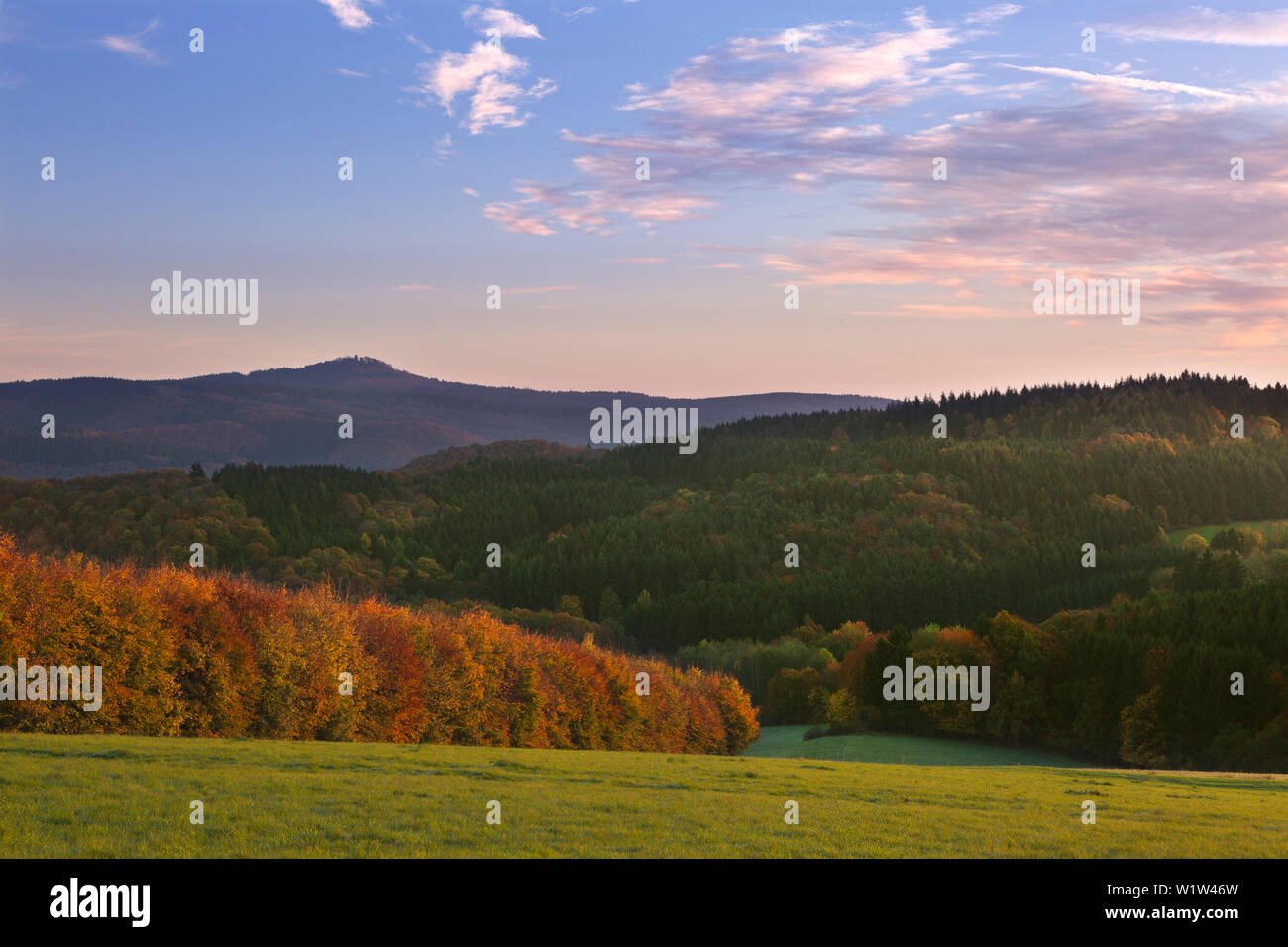 Vista della Hohe Acht vedetta, vicino a Adenau, Eifel, Renania-Palatinato, Germania Foto Stock