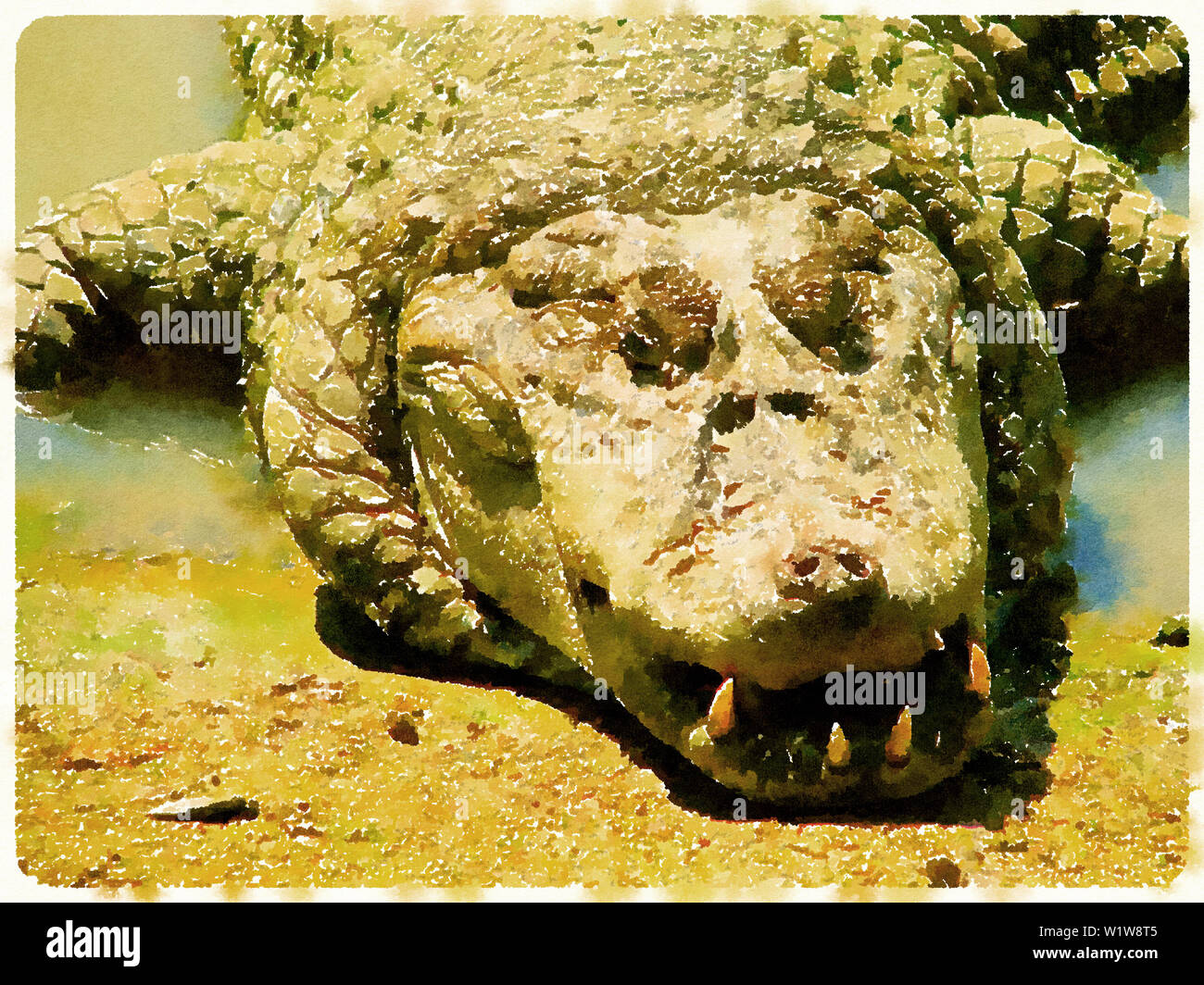 Vernice ad acquerello del pelo di alligatore e appoggiato sul fianco di un fiume (lago) Foto Stock