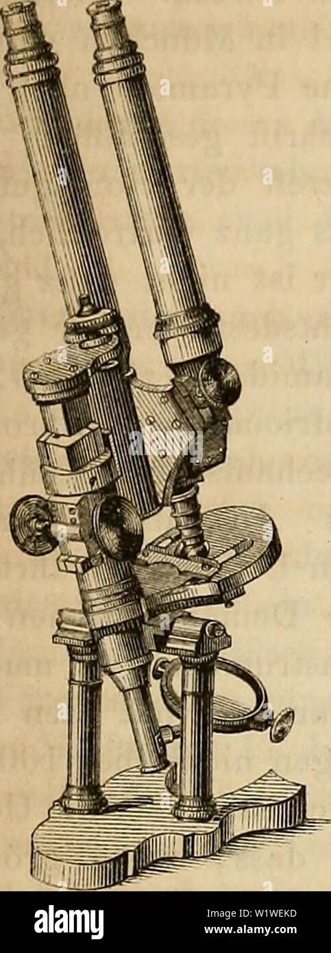 Immagine di archivio da pagina 788 di Das mikroskop Theorie, gebrauch, geschichte Foto Stock