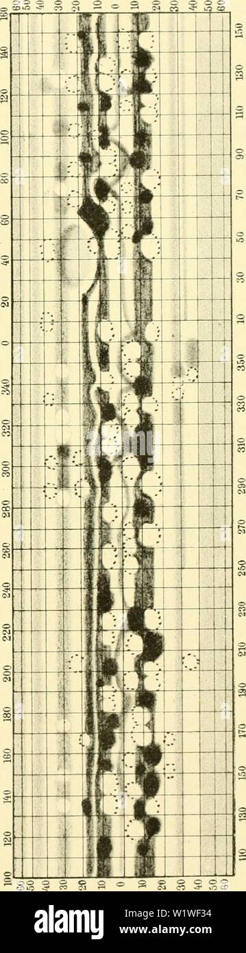 Immagine di archivio da pagina 822 di Denkschriften der Kaiserlichen Akademie der. Denkschriften der Kaiserlichen Akademie der Wissenschaften, Mathematisch-Naturwissenschaftliche Classe denkschriftender72kais Anno: 1902 CD ,â1 '4 &gt; CO o CO , CD 00 CD CD I. CO R CT) od CO cn CD OQ d CO &gt; cb CV3 C3 O CJ) O CO cn CO P ca P3 f&GT; CO 1-1 S- 00 ,0- CO CD cy] o o CO â et, CT) CO CO un &gt; g- cz&GT; CO â 00 lO CO âºcd C3 o 9 I,itli II Â"ruckvTU. Bannwarth.Wieii. Denkschrirteu d. kais, Akad. d. Wiss. matli. ualurw. CUasso, Bd. iAXIl. Foto Stock