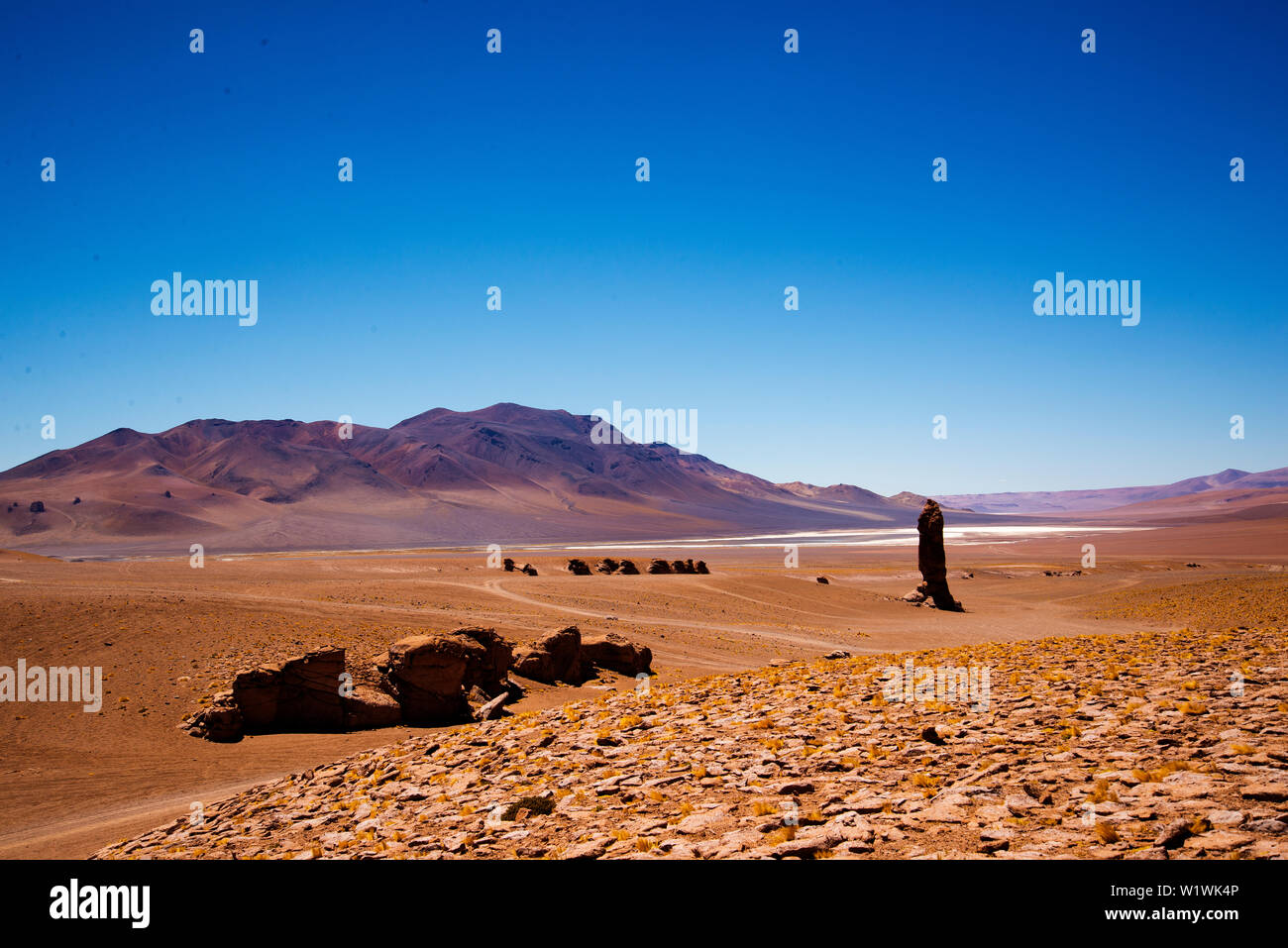 Paesaggio secco al deserto di Atacama, Cile Foto Stock