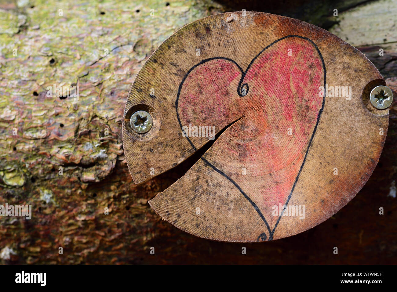 Piatto di legno con un cuore semplice di colore e una crepa nel piatto in legno Foto Stock