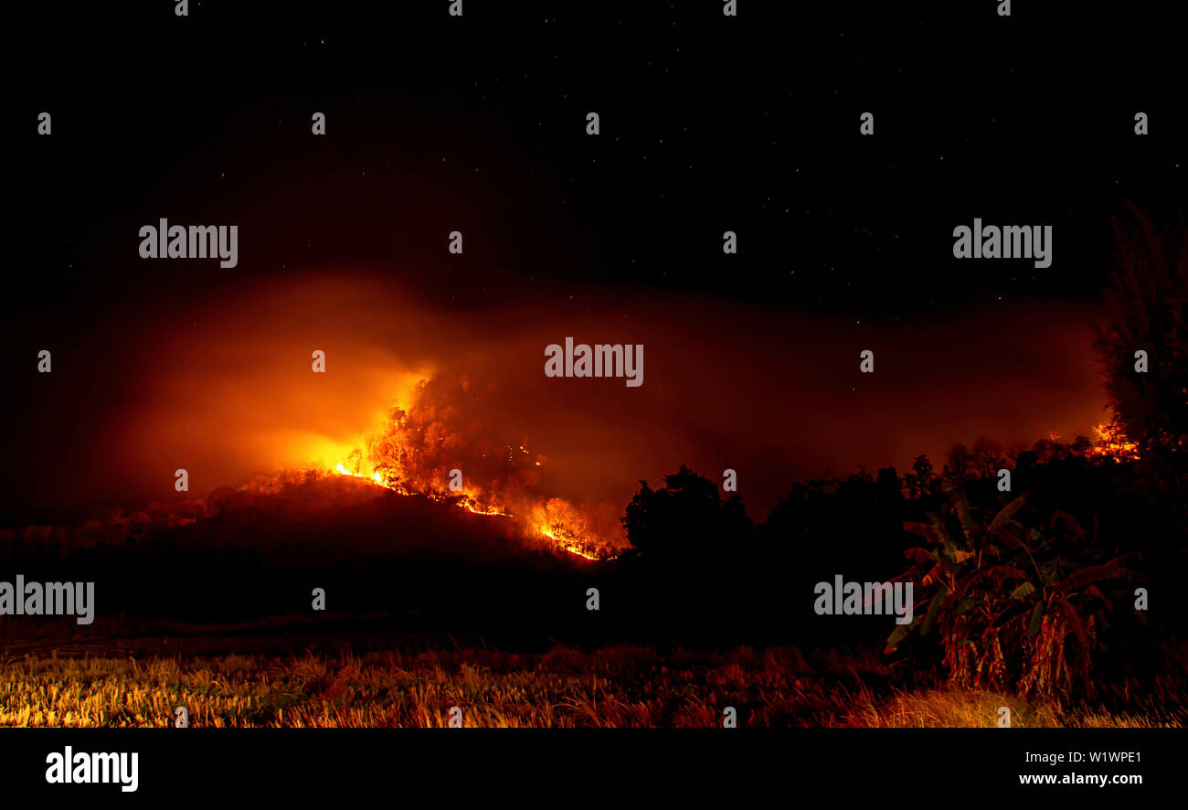 Il fuoco era di bruciare gli alberi sulla montagna di notte con tutte le stelle nel cielo. Foto Stock