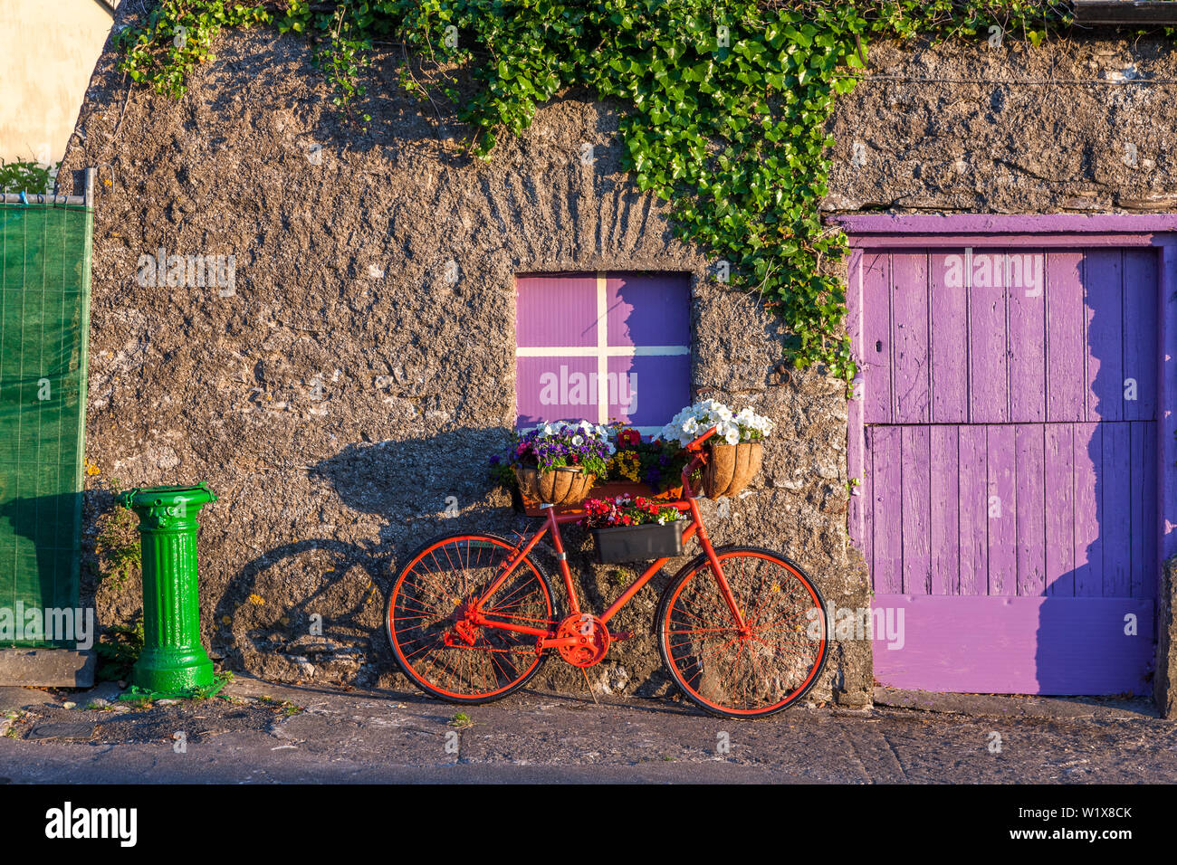 Cloyne, Cork, Irlanda. 04 Luglio, 2019. La mattina presto si illumina una vecchia bicicletta decorata con ceste di nelle petunie e altri fiori in Cloyne, Co. Cork, Irlanda. Credito: David Creedon/Alamy Live News Foto Stock