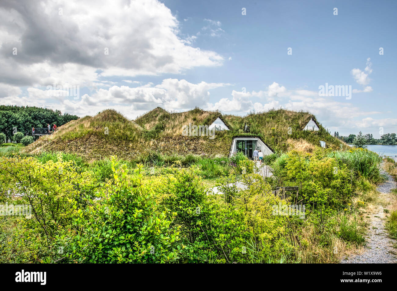 Werkendam, nei Paesi Bassi il 3 luglio, 2019: vista del Biesbosch museum, è il tetto verde un integrale [arte del paesaggio del parco nazionale Foto Stock