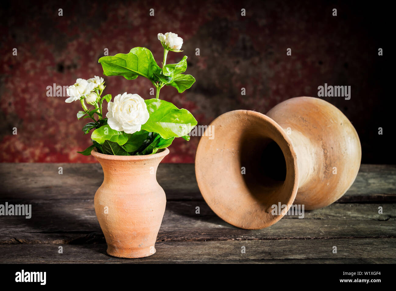 Ancora vita.fiori del gelsomino in vaso su legno Foto Stock