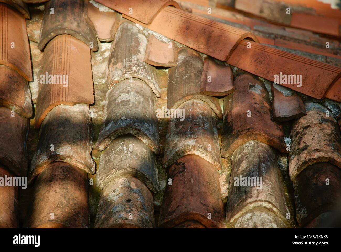 Venezia tegole del tetto, vicino fino nella luce della sera Foto Stock