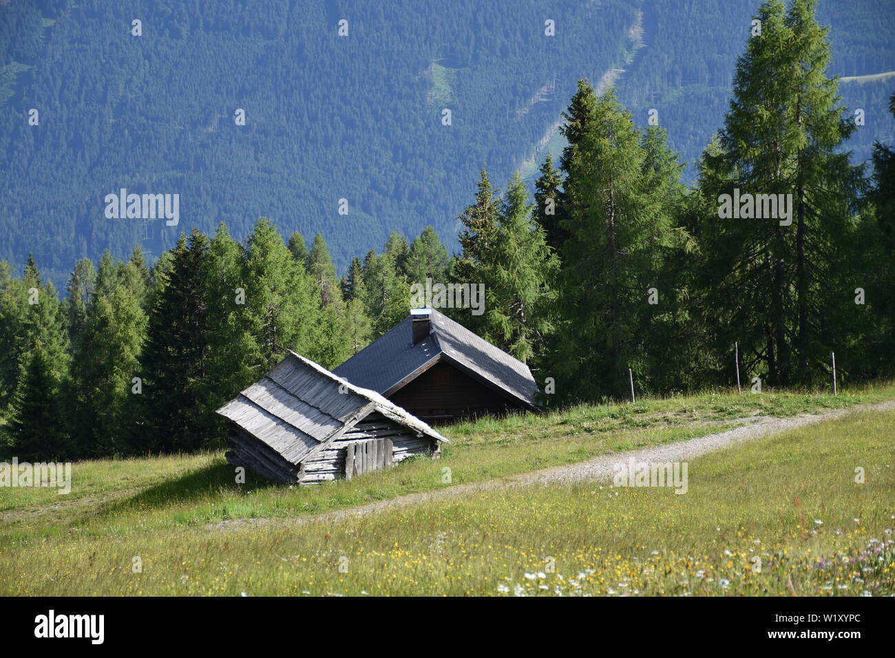 Emberger Alm, Alm, Kärnten, Greifenburg, Spittal, Drau, Spittal an der Drau, Oberkärnten, Baumgrenze, Weißensee, Bergstraße, Kurve, Kehre, Wald, Bergw Foto Stock