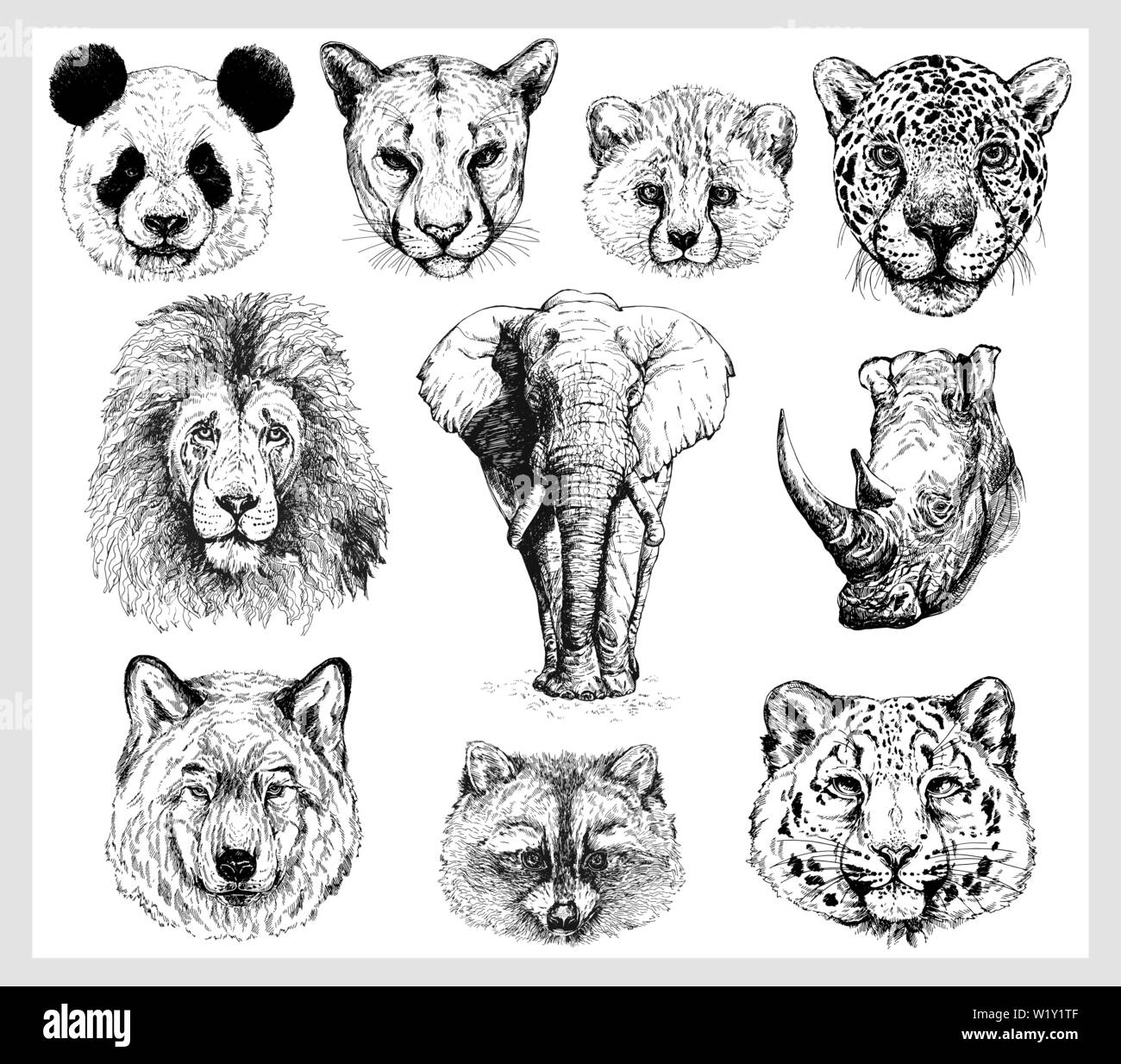 Set di mano bozzetto ritratti di animali isolati su sfondo bianco. Illustrazione Vettoriale. Illustrazione Vettoriale