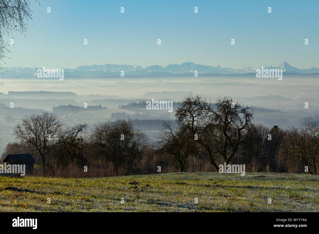 Alberi sfrondato su una collina che domina una valle coperta di nebbia e alcuni picchi di montagna sono peaking tiro con un gelido campo in primo piano Foto Stock