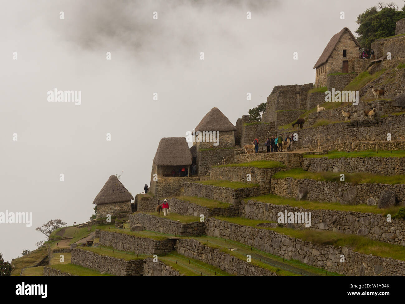 Panoramica del Machu Picchu con la nebbia. Foto Stock