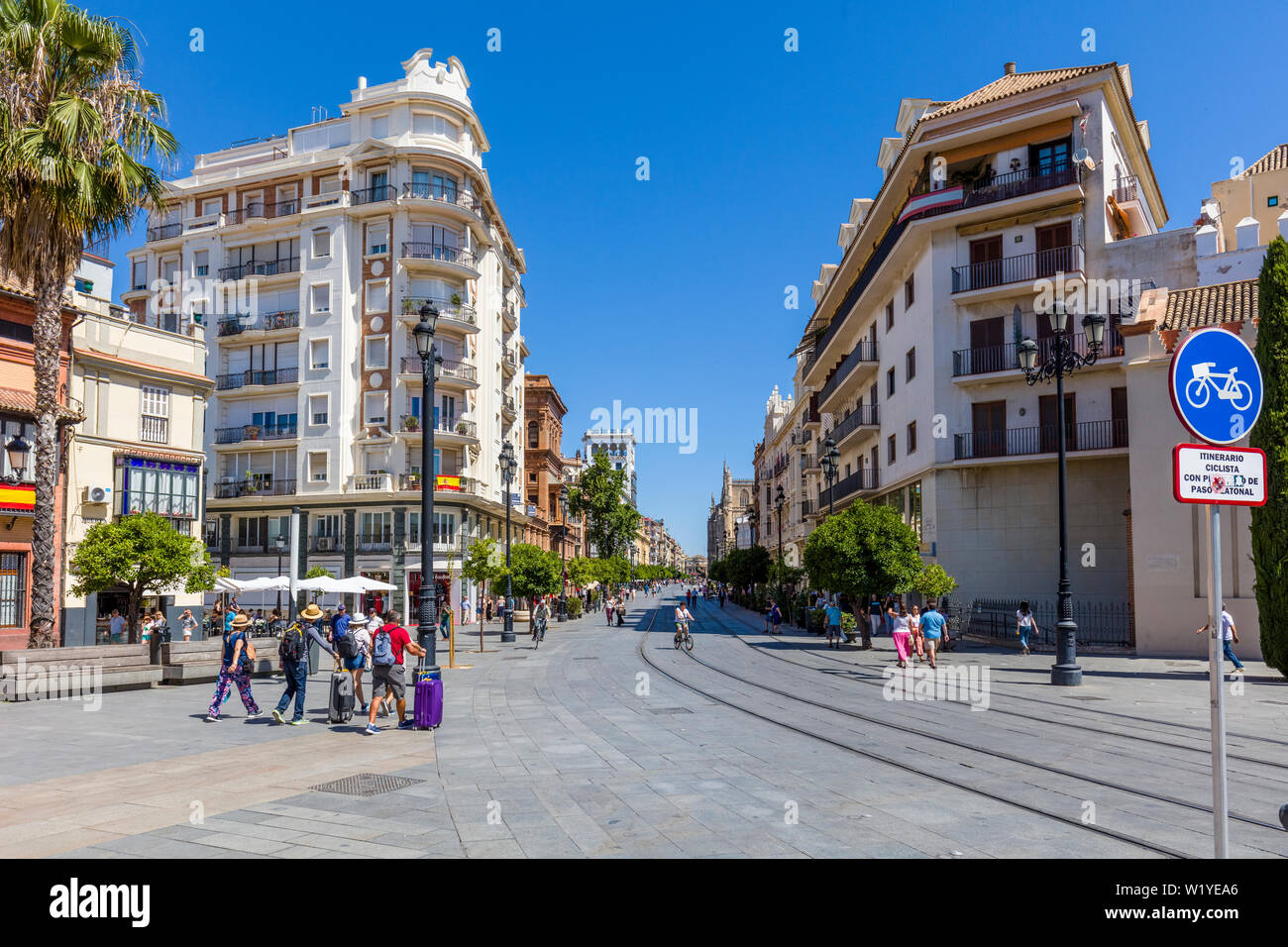 Avenida de la Constitucion nel centro storico centro di Siviglia, in Andalusia, Spagna, Europa Foto Stock