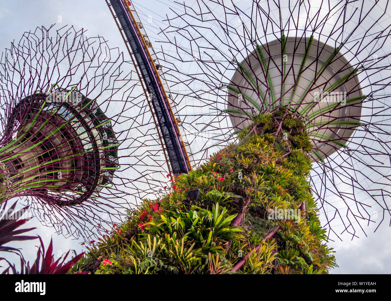 OCBC Skyway una passerella elevata tra i Supertrees in giardini dalla Baia di Singapore. Foto Stock