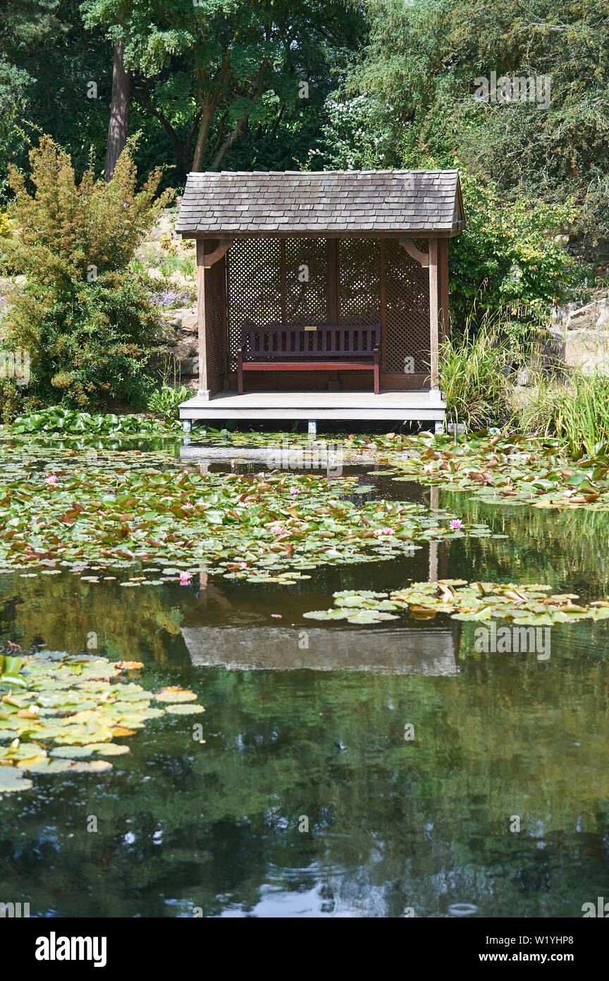 Sede del giardino di una casa estiva che si affaccia su uno stagno pieno di ninfee nel sole splendente, England, Regno Unito, GB. Foto Stock
