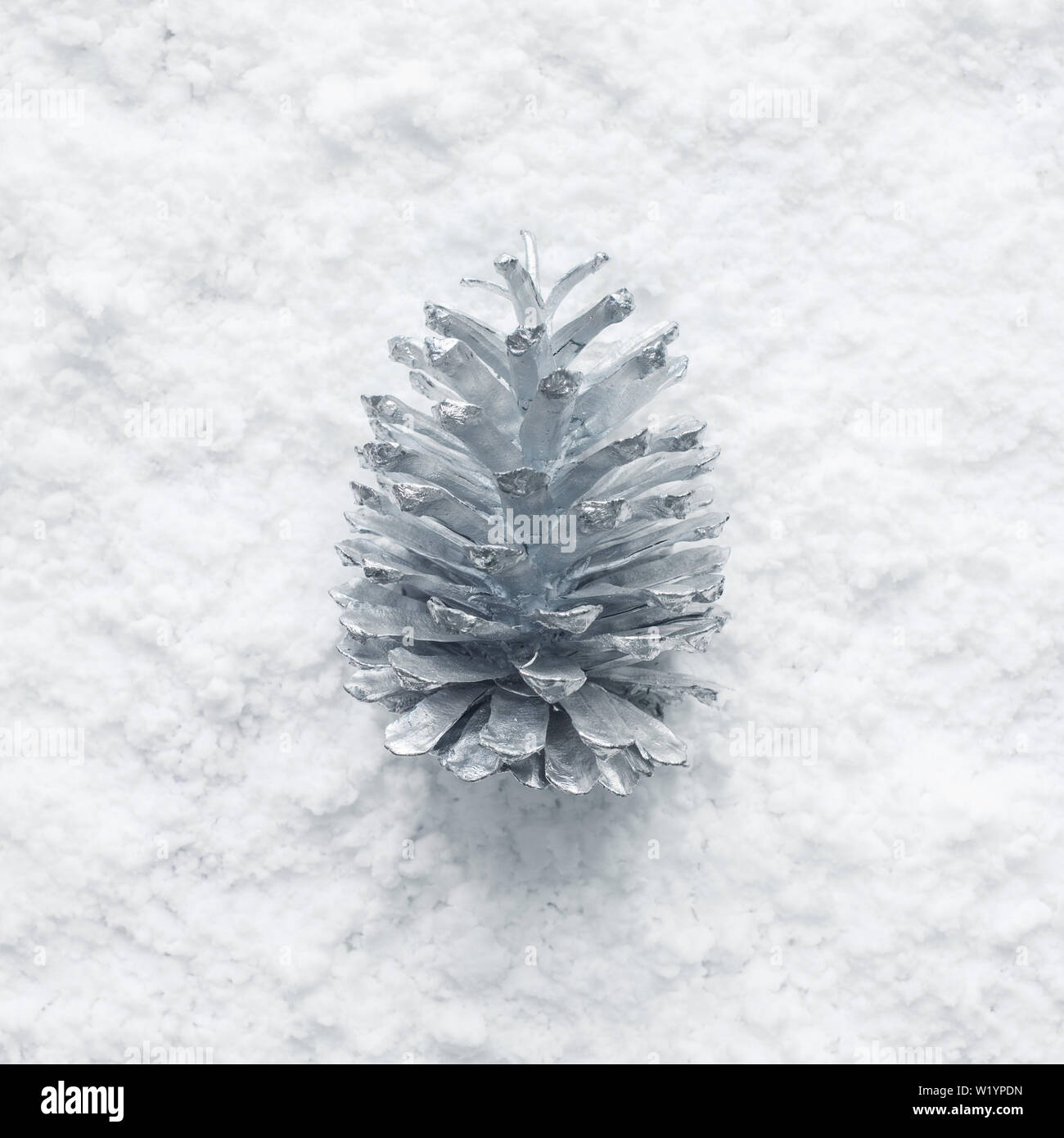 Stagione invernale,natale concetti idee d'argento con cono di pino e neve.vista superiore Foto Stock