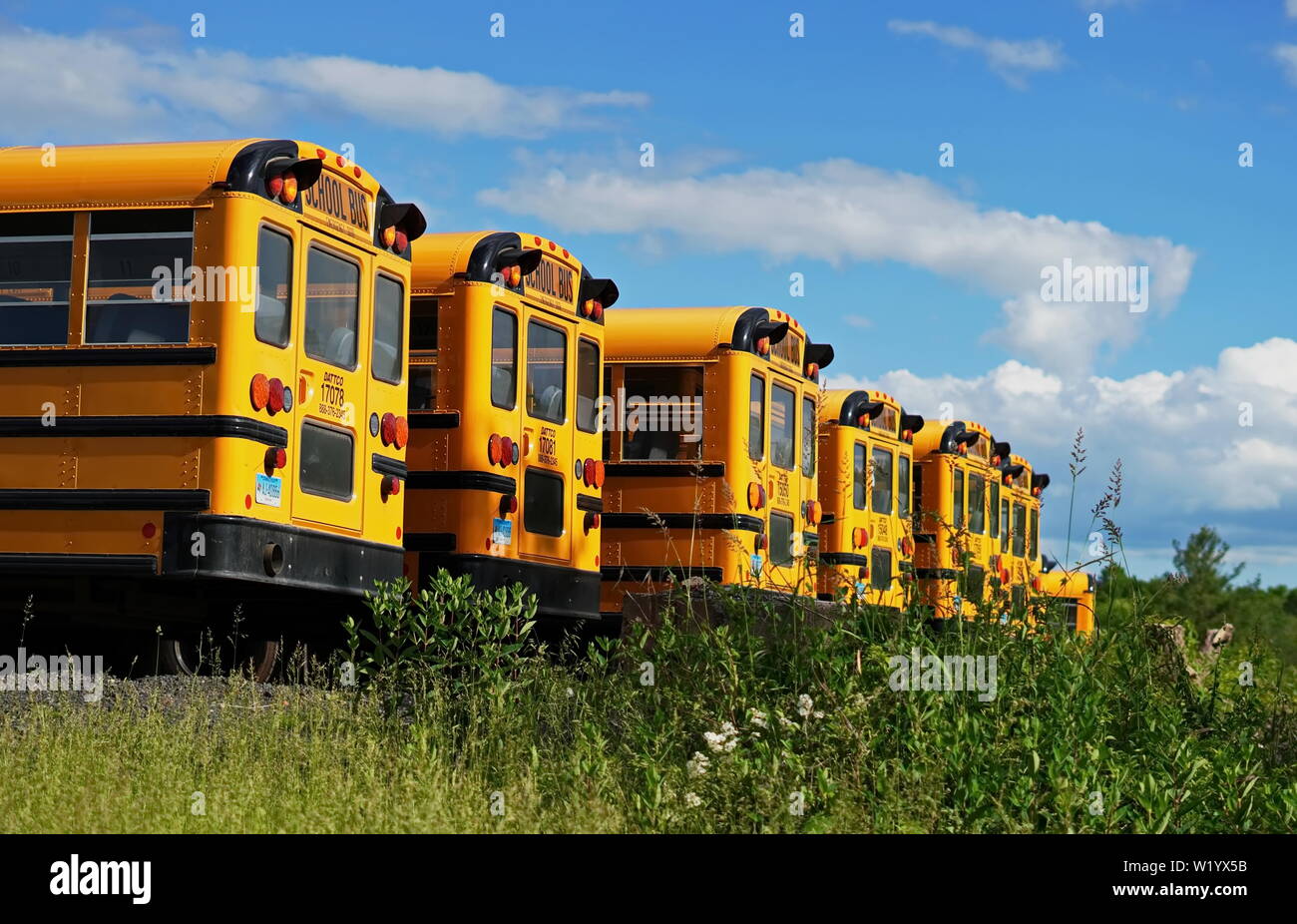 Middletown, CT / STATI UNITI D'America - 6 Giugno 2019: fila di giallo gli autobus scolastici in un parcheggio Foto Stock