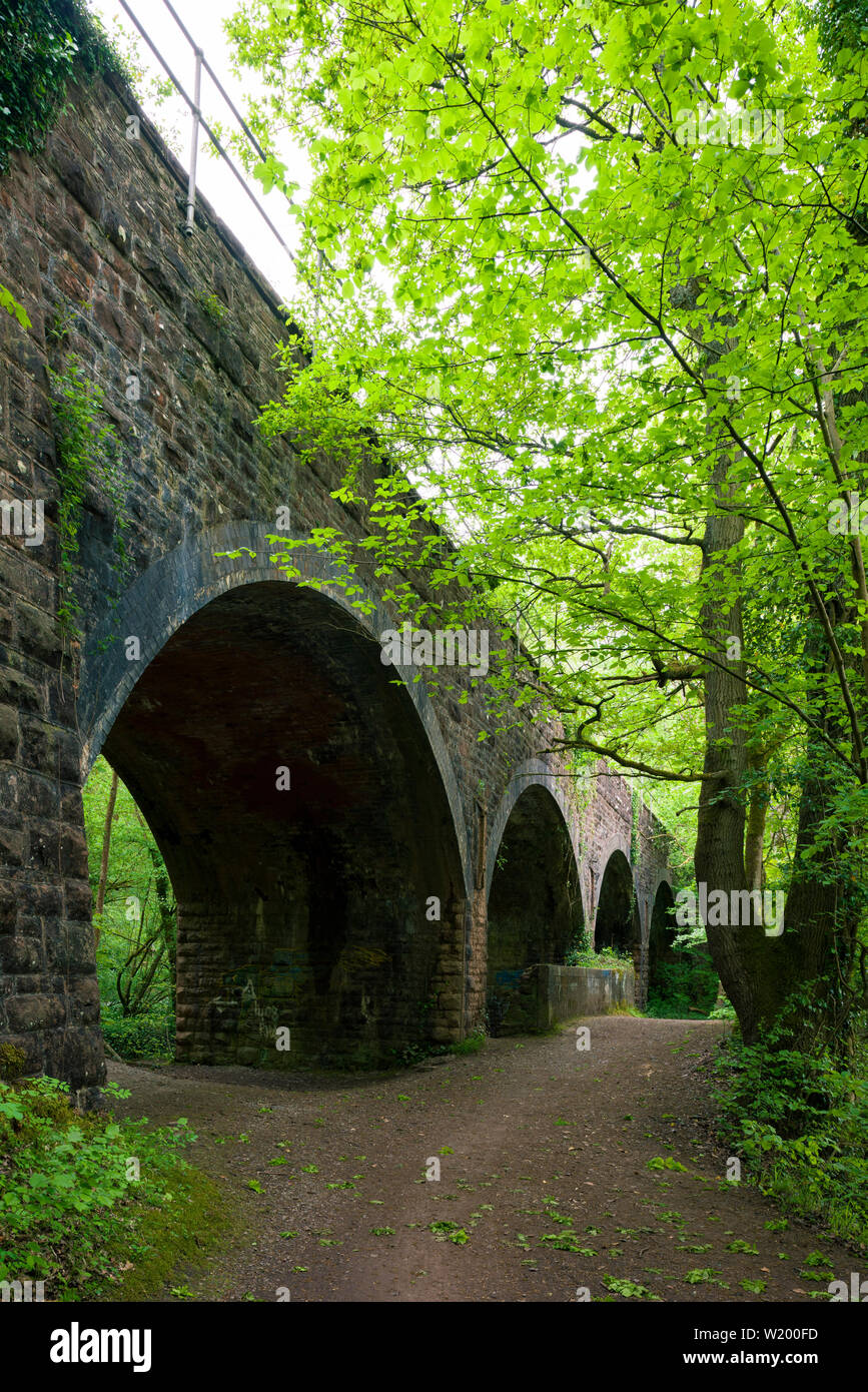 Il viadotto ferroviario a Leigh boschi vicino a Bristol, North Somerset, Inghilterra. Foto Stock
