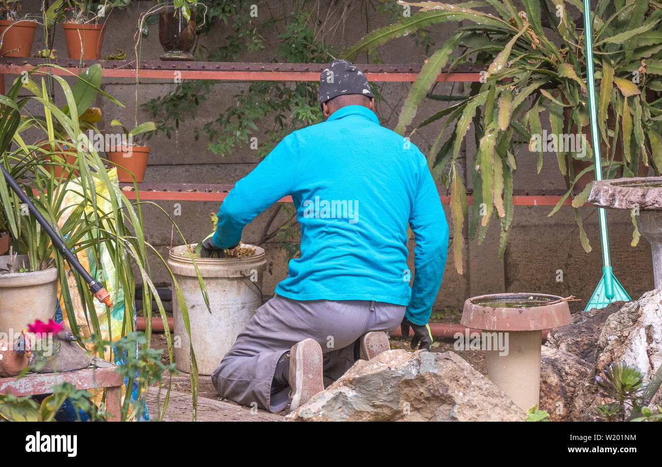 Johannesburg, Sud Africa - Un misterioso maschio nero lavoratore migrante non fa il lavoro manuale in un giardino interno nella città Foto Stock