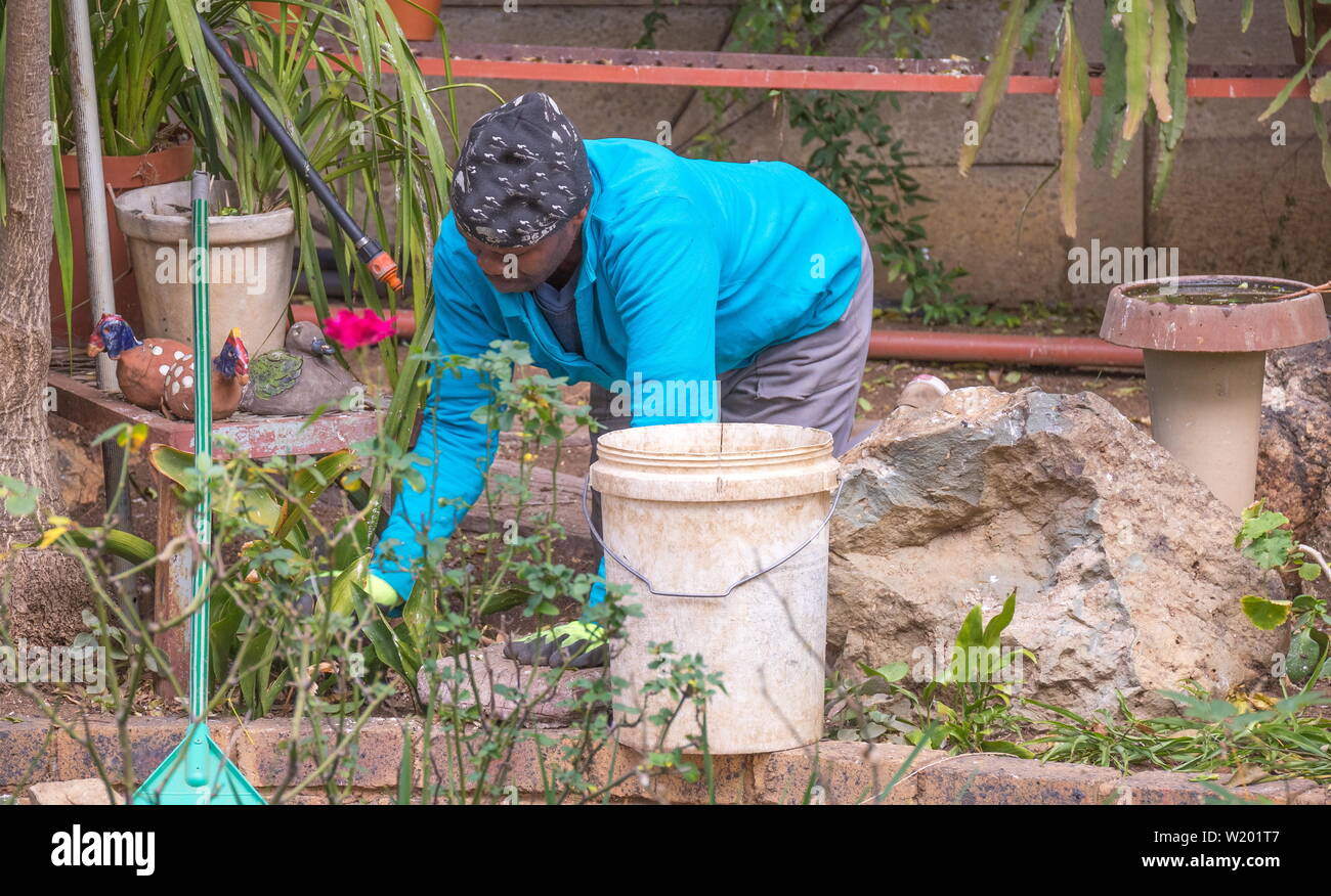 Johannesburg, Sud Africa - Un misterioso maschio nero lavoratore migrante non fa il lavoro manuale in un giardino interno nella città Foto Stock