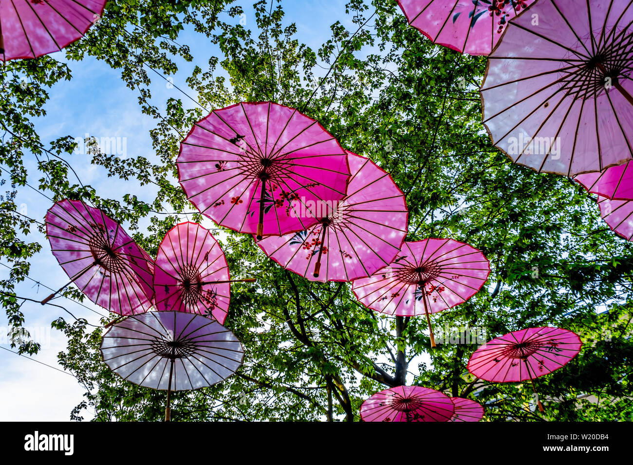 Decorativa Arte moderna di Asian ombrelloni pendenti da alberi nel bellissimo Yaletown di Vancouver, British Columbia, Canada Foto Stock Decorativa Arte moderna di Asian ombrelloni pendenti da alberi nel bellissimo Yaletown di Vancouver, British Columbia, Canada Foto Stock