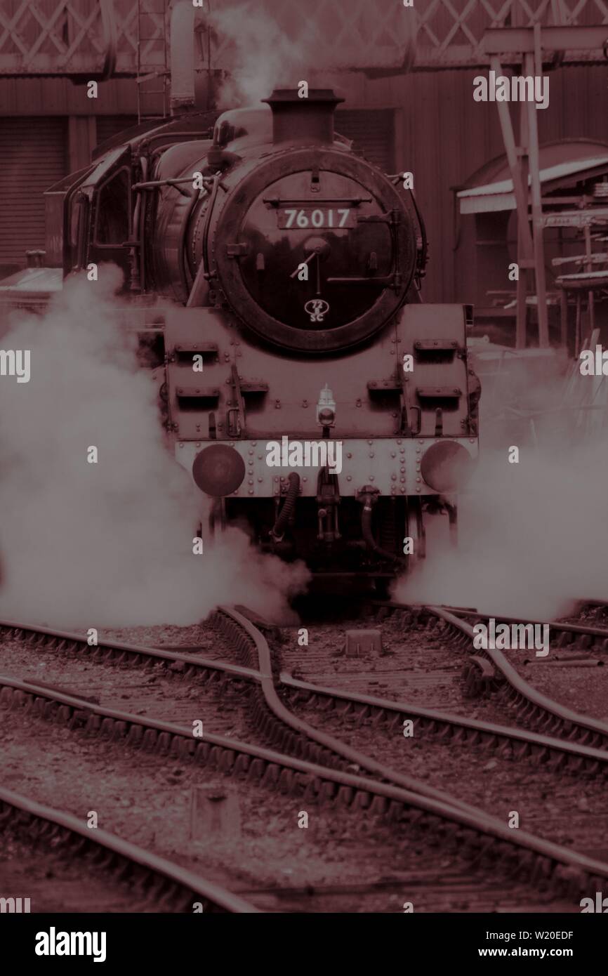 Le immagini scattate al crescione linea durante la "guerra sulla linea' evento in Hampshire. Foto Stock