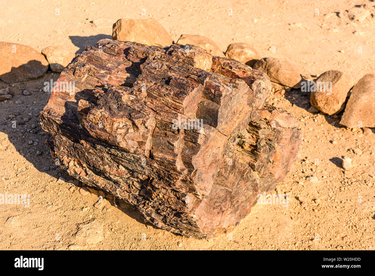 Fossilizzato tronco di albero alla Foresta Pietrificata, Twyfelfontein, Namibia Foto Stock