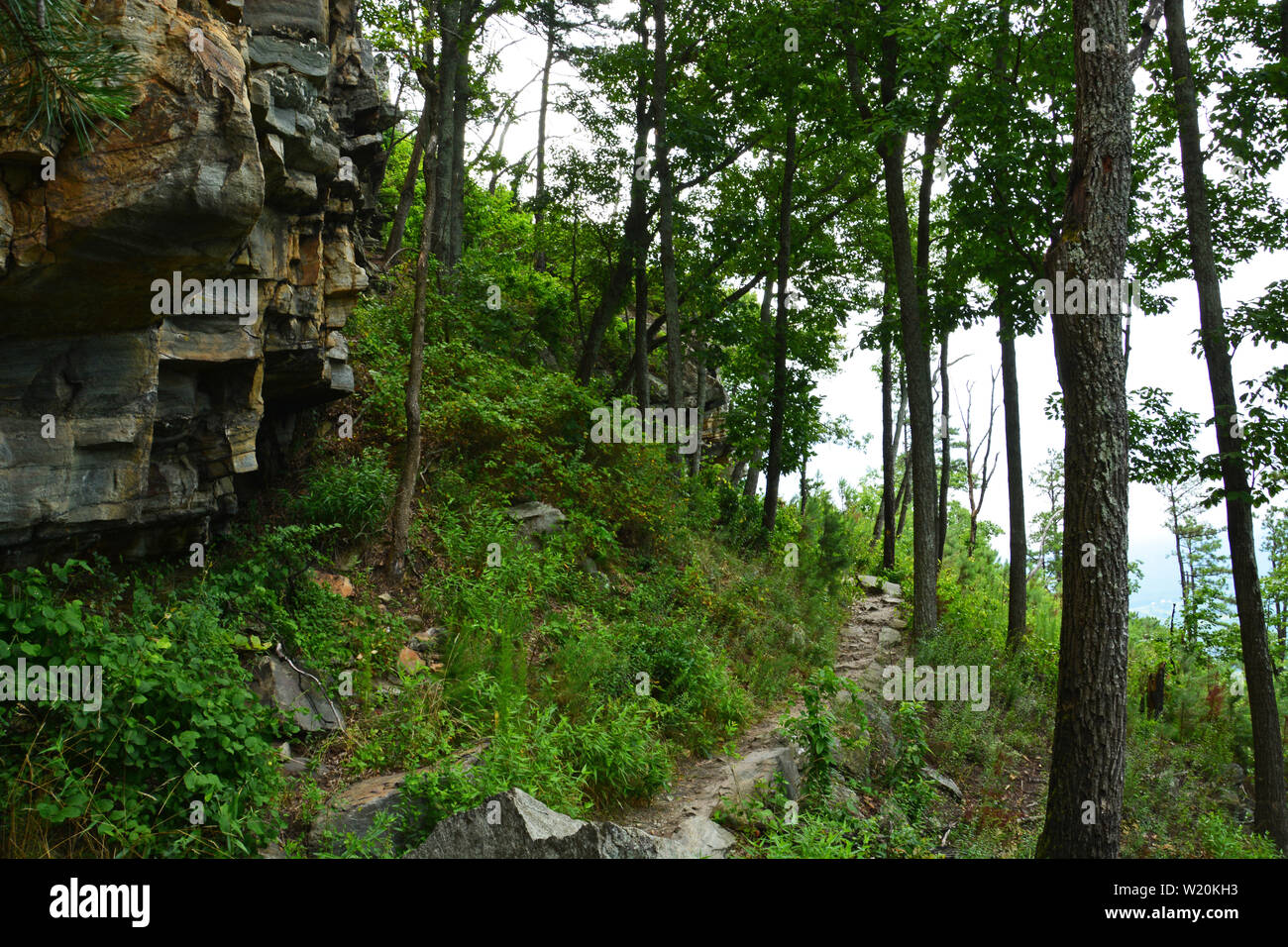 La battuta la molla il sentiero si snoda lungo le scogliere e attraverso il bosco di Pilot Mountain State Park in North Carolina. Foto Stock